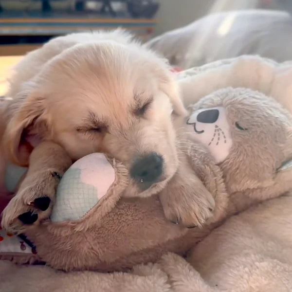 CalmBear™ | Soothing Cuddle Buddy | For Sleep, Relaxation &amp; Emotional Calm