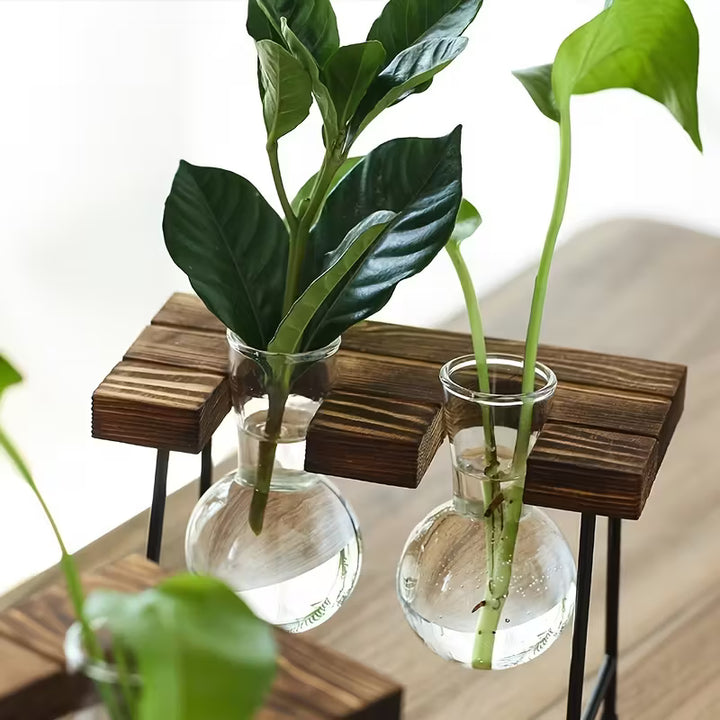 Transparent Glass Vase Set | Wooden Stand | Hydroponic Vase
