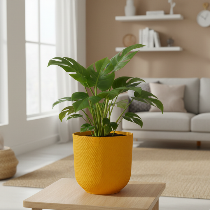 Elho Jazz Round | Elegant Terracotta Flower Pot with Matte Finish | Diameter 19 cm