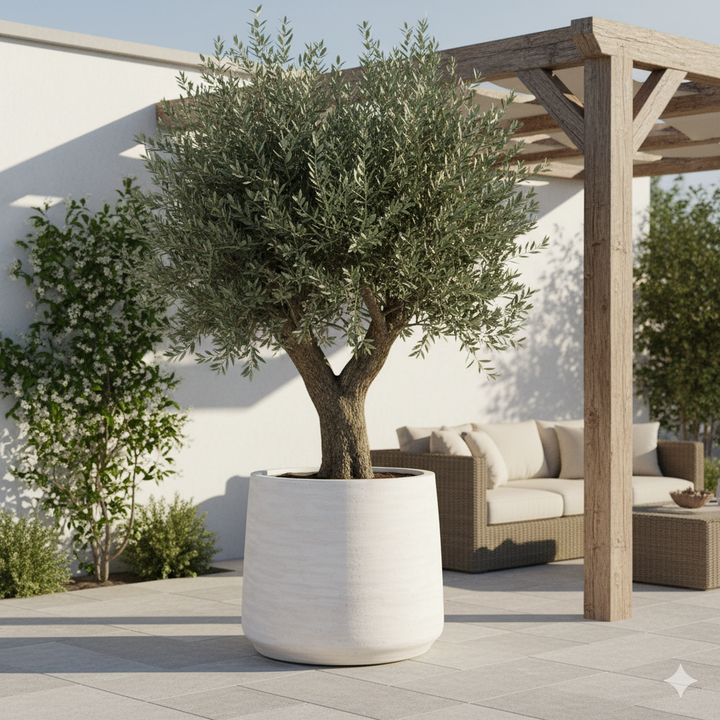 Jumbo Patt Ivory Washed | Large Handmade Flower Pot in Natural Ivory Look