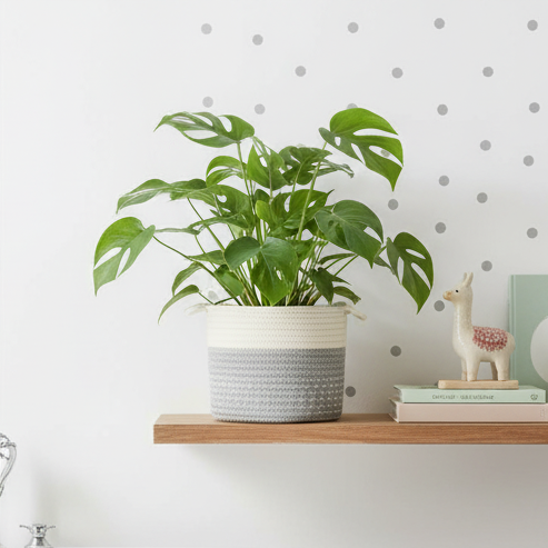 Decorative Plant Basket | Natural Warmth for Any Interior | Diameter 18 cm