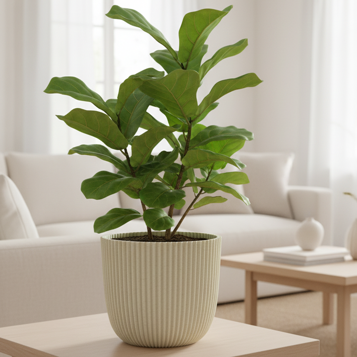 Sustainable Flower Pot Made of Natural Materials – Beige | Diameter 17 cm