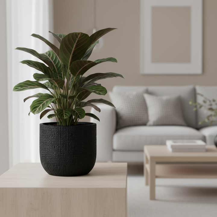 Modern Flower Pot Anthracite | Durable Lightweight Pot with Skin Texture | D17cm - H15cm