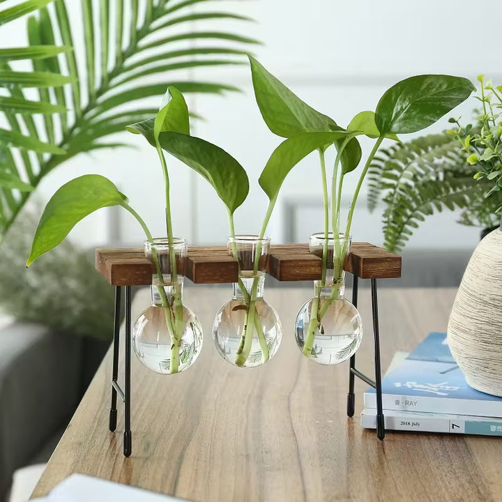 Transparent Glass Vase Set | Wooden Stand | Hydroponic Vase