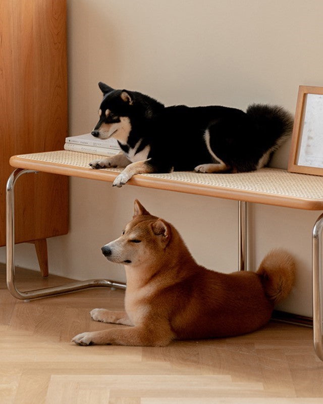 Serenity Rattan Sofa | Minimalist Cherry Wood Sofa with Rattan and Stainless Steel