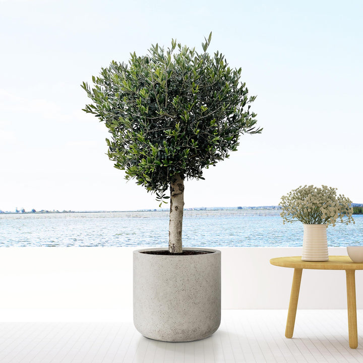 Jumbo Charlie Beige Washed | Large Handmade Flower Pot in Beige Look