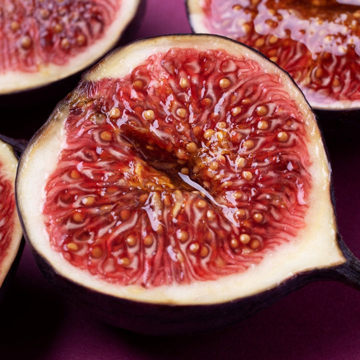 Organic Fig Tree Plants | Set of 3 or 6 Ficus carica | 20-25 cm tall